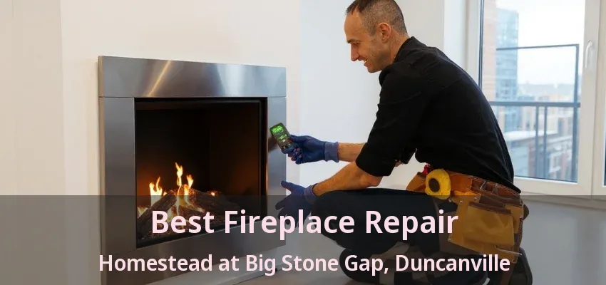Best Fireplace Repair Homestead at Big Stone Gap, Duncanville - TX