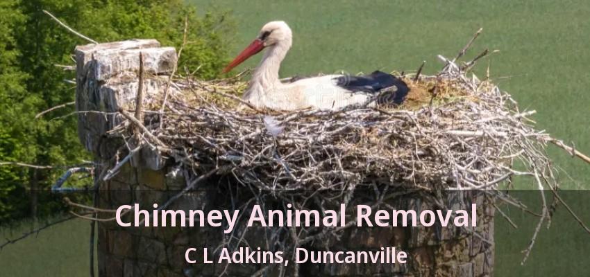 Chimney Animal Removal C L Adkins, Duncanville - TX