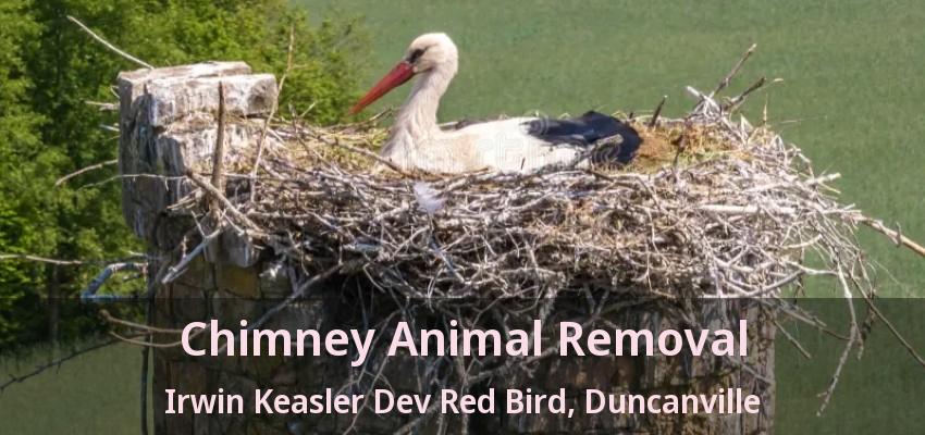 Chimney Animal Removal Irwin Keasler Dev Red Bird, Duncanville - TX
