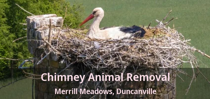 Chimney Animal Removal Merrill Meadows, Duncanville - TX