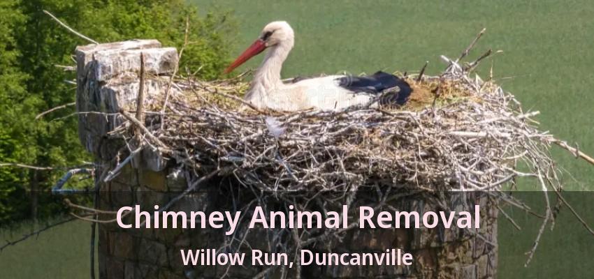 Chimney Animal Removal Willow Run, Duncanville - TX