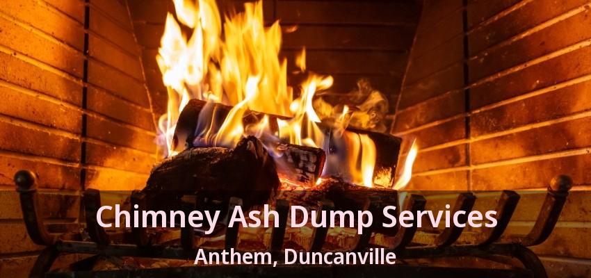 Chimney Ash Dump Services Anthem, Duncanville - TX