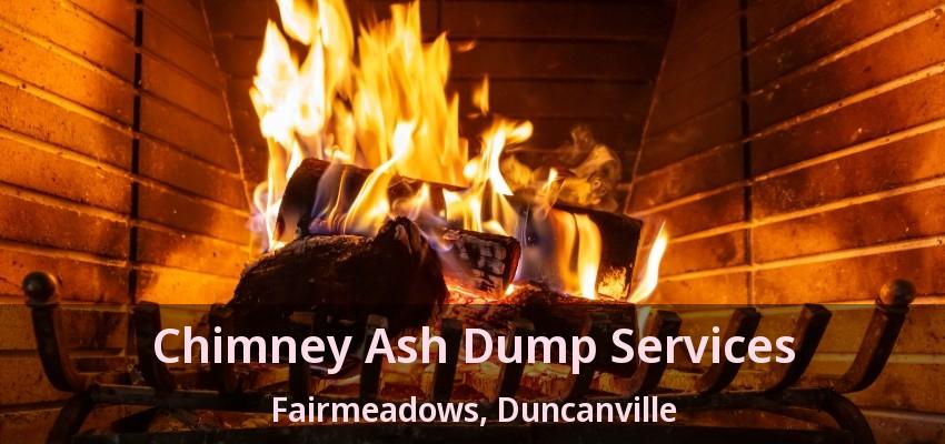 Chimney Ash Dump Services Fairmeadows, Duncanville - TX