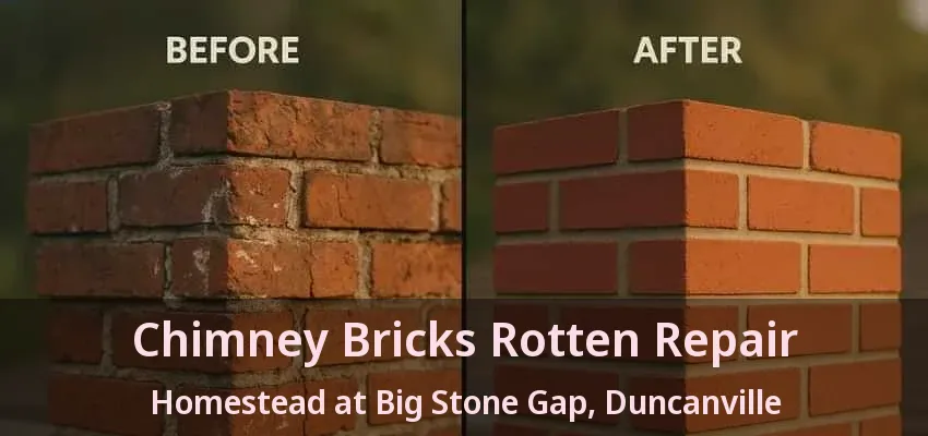 Chimney Bricks Rotten Repair Homestead at Big Stone Gap, Duncanville - TX