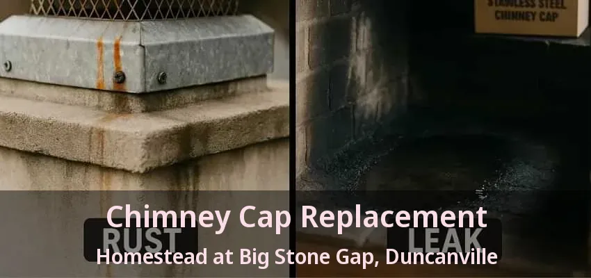 Chimney Cap Replacement Homestead at Big Stone Gap, Duncanville - TX