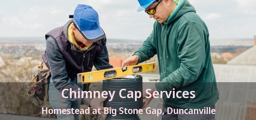 Chimney Cap Services Homestead at Big Stone Gap, Duncanville - TX