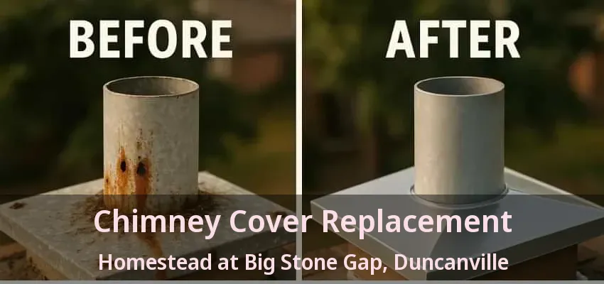 Chimney Cover Replacement Homestead at Big Stone Gap, Duncanville - TX