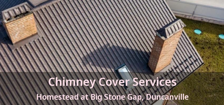 Chimney Cover Services Homestead at Big Stone Gap, Duncanville - TX