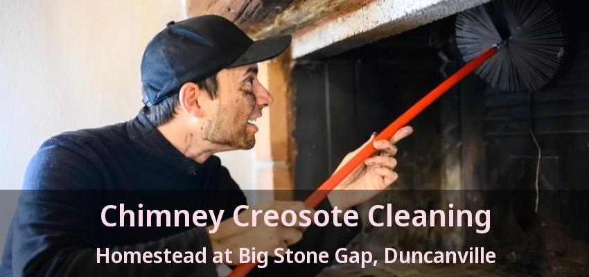 Chimney Creosote Cleaning Homestead at Big Stone Gap, Duncanville - TX