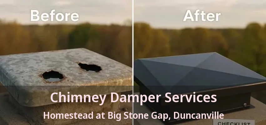 Chimney Damper Services Homestead at Big Stone Gap, Duncanville - TX