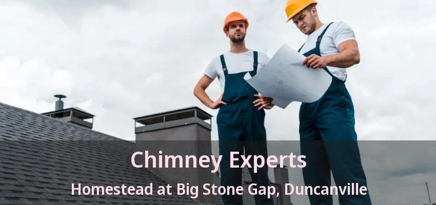 Chimney Experts Homestead at Big Stone Gap, Duncanville - TX