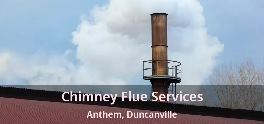 Chimney Flue Services Anthem, Duncanville - TX