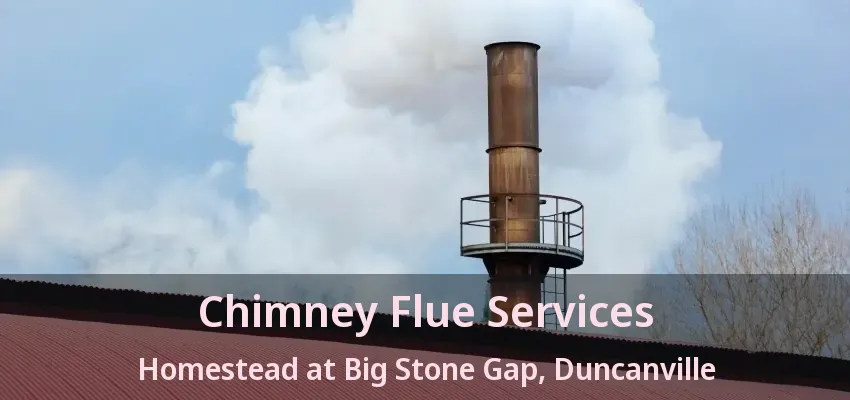Chimney Flue Services Homestead at Big Stone Gap, Duncanville - TX