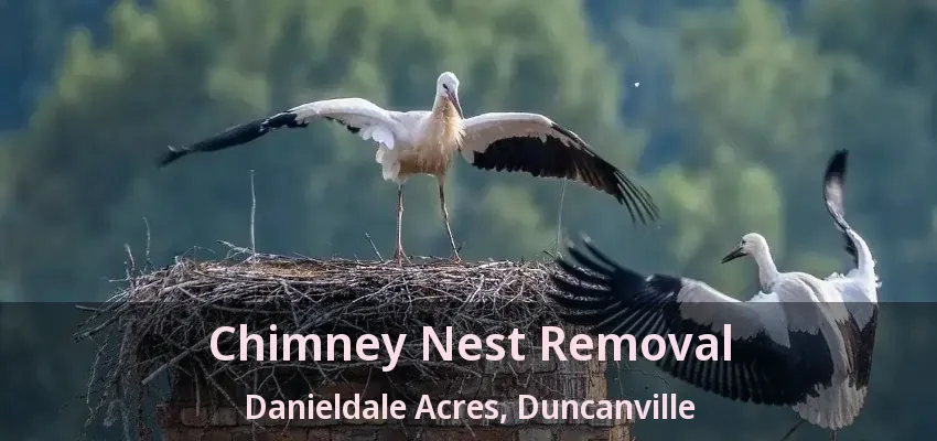 Chimney Nest Removal Danieldale Acres, Duncanville - TX
