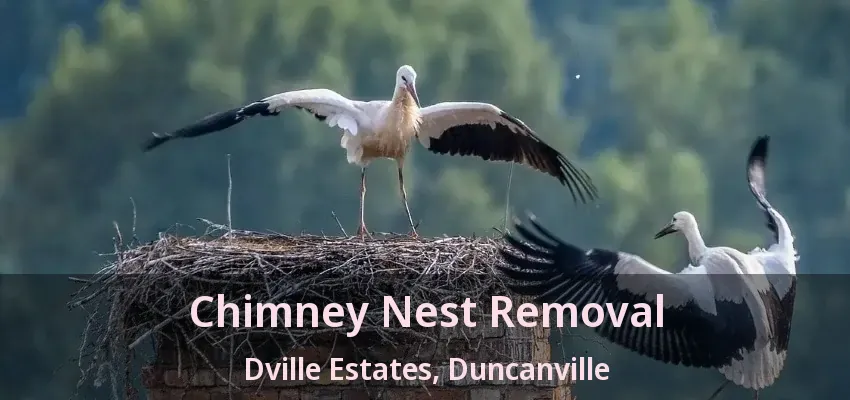 Chimney Nest Removal Dville Estates, Duncanville - TX