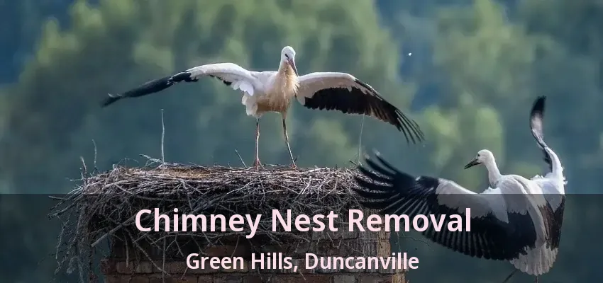 Chimney Nest Removal Green Hills, Duncanville - TX