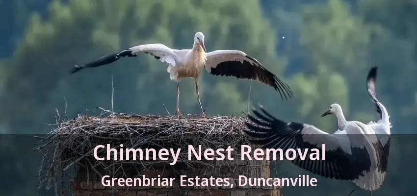 Chimney Nest Removal Greenbriar Estates, Duncanville - TX