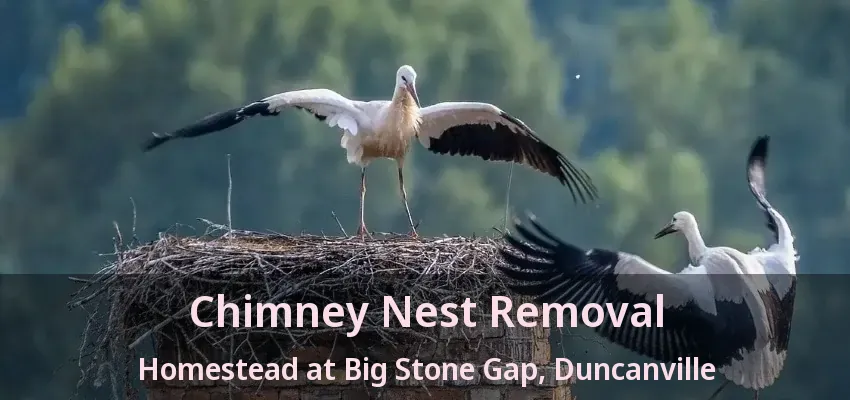 Chimney Nest Removal Homestead at Big Stone Gap, Duncanville - TX