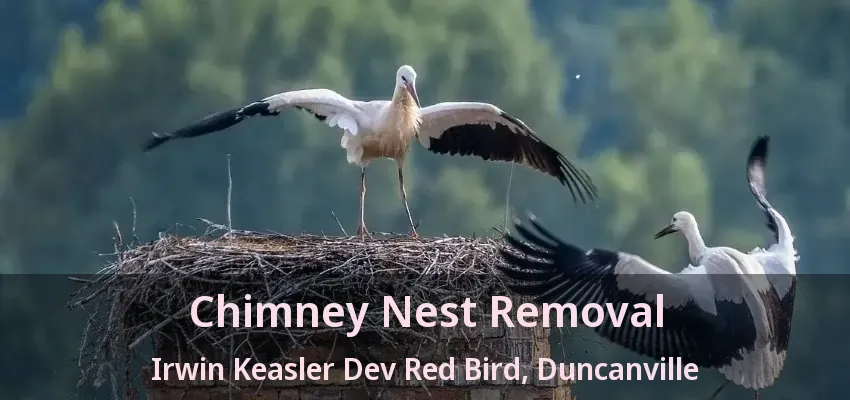 Chimney Nest Removal Irwin Keasler Dev Red Bird, Duncanville - TX