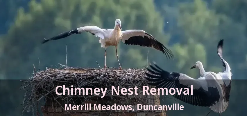 Chimney Nest Removal Merrill Meadows, Duncanville - TX