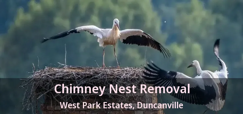 Chimney Nest Removal West Park Estates, Duncanville - TX