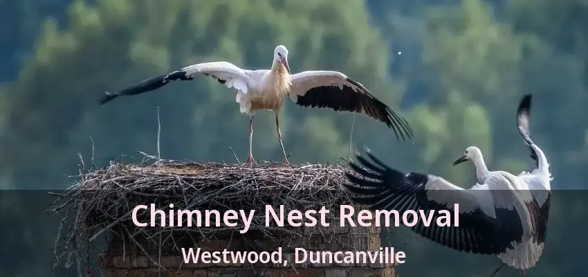 Chimney Nest Removal Westwood, Duncanville - TX