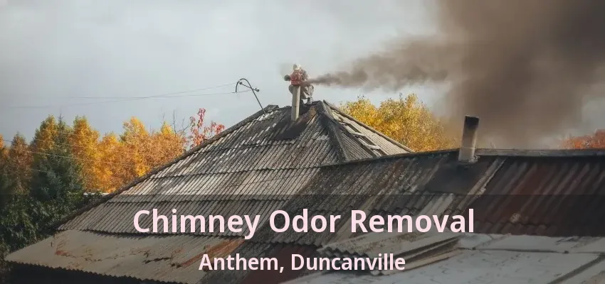 Chimney Odor Removal Anthem, Duncanville - TX