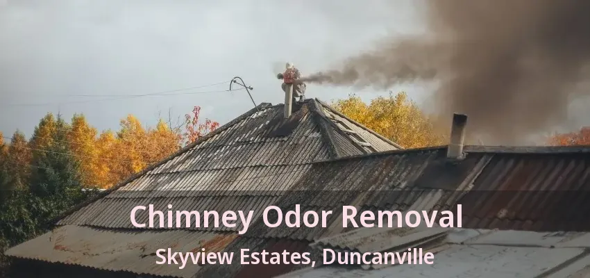Chimney Odor Removal Skyview Estates, Duncanville - TX