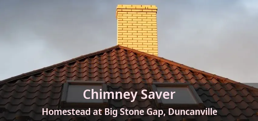 Chimney Saver Homestead at Big Stone Gap, Duncanville - TX