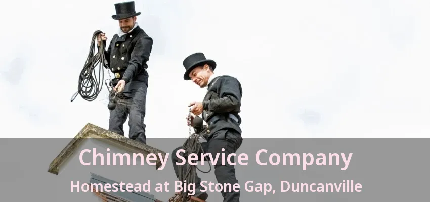 Chimney Service Company Homestead at Big Stone Gap, Duncanville - TX