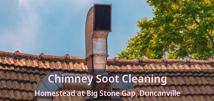 Chimney Soot Cleaning Homestead at Big Stone Gap, Duncanville - TX