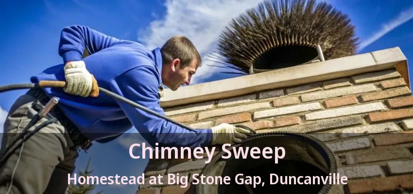 Chimney Sweep Homestead at Big Stone Gap, Duncanville - TX
