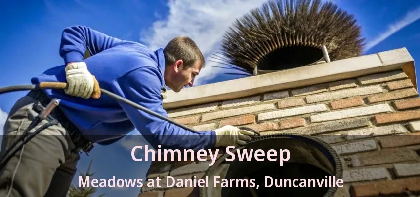 Chimney Sweep Meadows at Daniel Farms, Duncanville - TX
