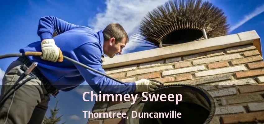 Chimney Sweep Thorntree, Duncanville - TX