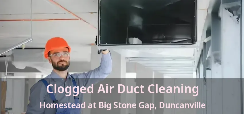 Clogged Air Duct Cleaning Homestead at Big Stone Gap, Duncanville - TX