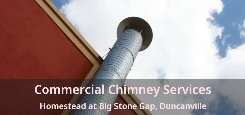 Commercial Chimney Services Homestead at Big Stone Gap, Duncanville - TX