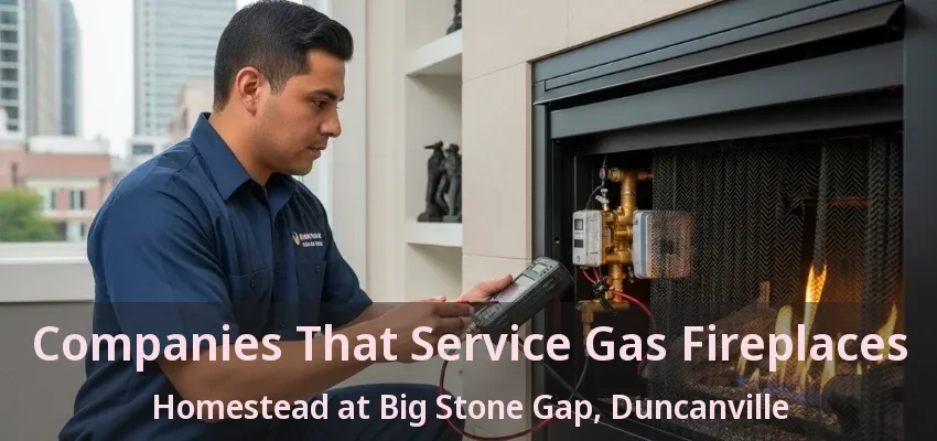 Companies That Service Gas Fireplaces Homestead at Big Stone Gap, Duncanville - TX