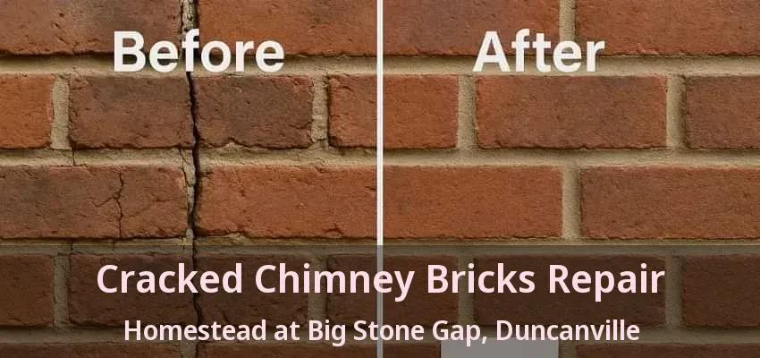 Cracked Chimney Bricks Repair Homestead at Big Stone Gap, Duncanville - TX