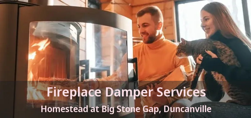 Fireplace Damper Services Homestead at Big Stone Gap, Duncanville - TX