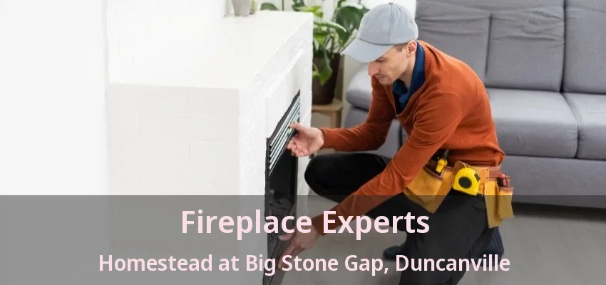 Fireplace Experts Homestead at Big Stone Gap, Duncanville - TX