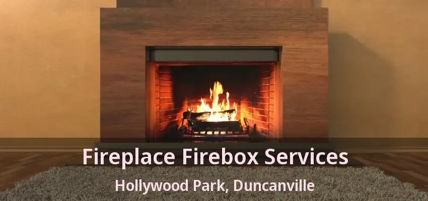 Fireplace Firebox Services Hollywood Park, Duncanville - TX