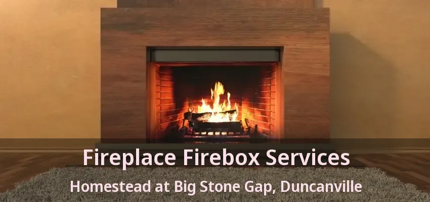 Fireplace Firebox Services Homestead at Big Stone Gap, Duncanville - TX