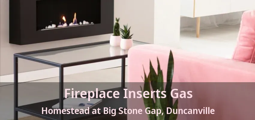 Fireplace Inserts Gas Homestead at Big Stone Gap, Duncanville - TX