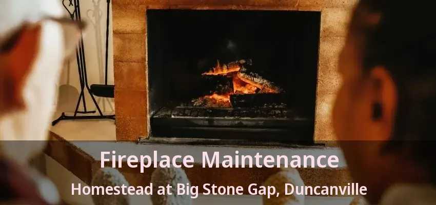 Fireplace Maintenance Homestead at Big Stone Gap, Duncanville - TX
