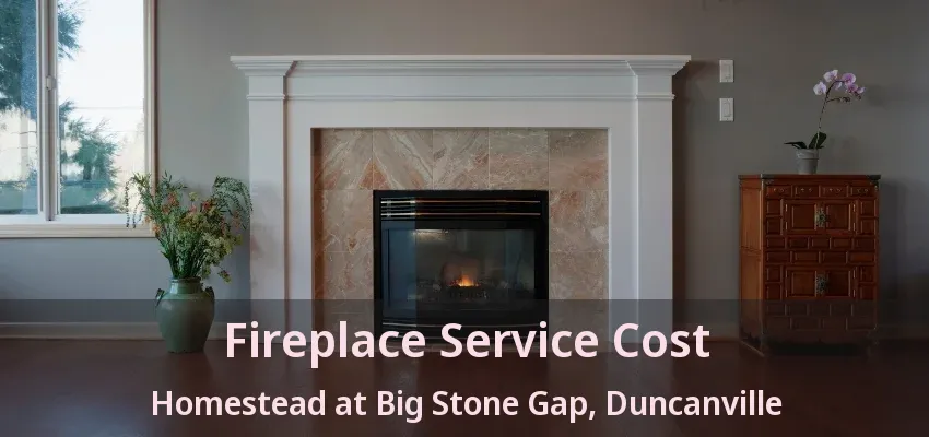 Fireplace Service Cost Homestead at Big Stone Gap, Duncanville - TX