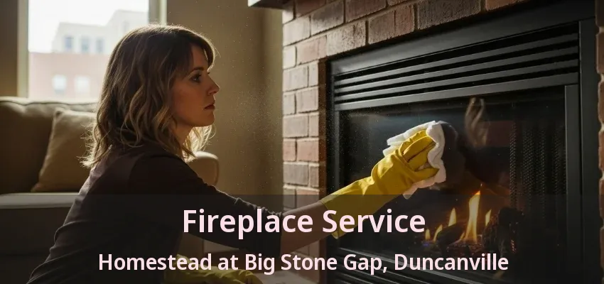 Fireplace Service Homestead at Big Stone Gap, Duncanville - TX