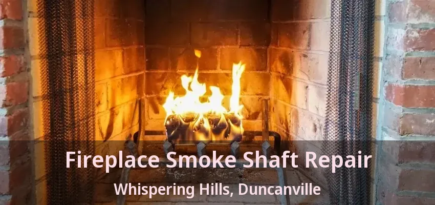 Fireplace Smoke Shaft Repair Whispering Hills, Duncanville - TX