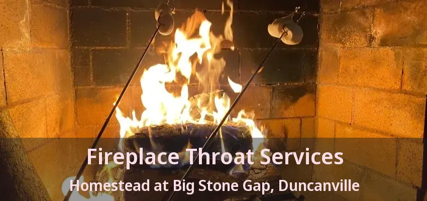Fireplace Throat Services Homestead at Big Stone Gap, Duncanville - TX
