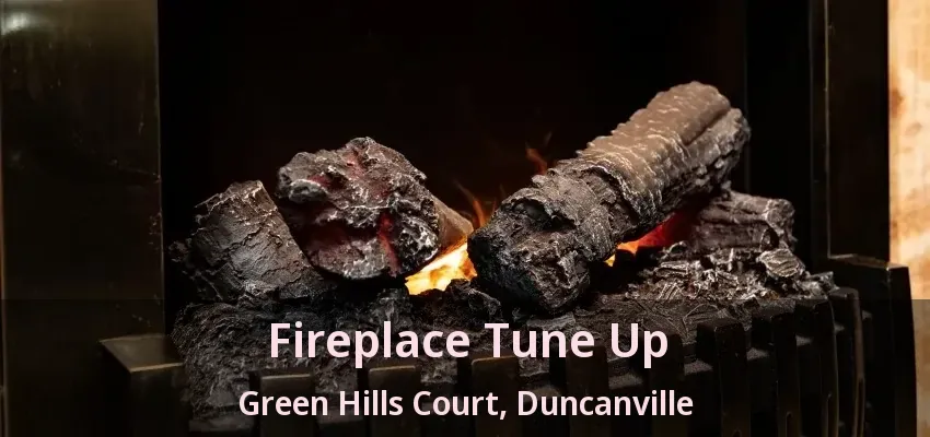 Fireplace Tune Up Green Hills Court, Duncanville - TX
