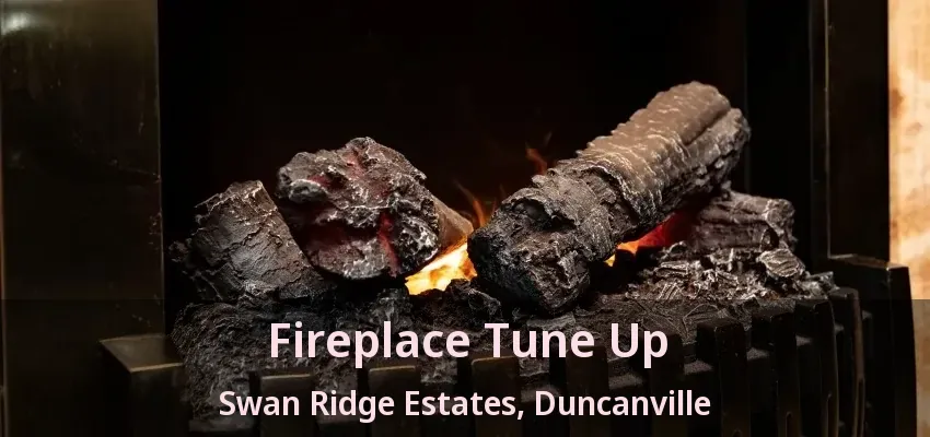 Fireplace Tune Up Swan Ridge Estates, Duncanville - TX
